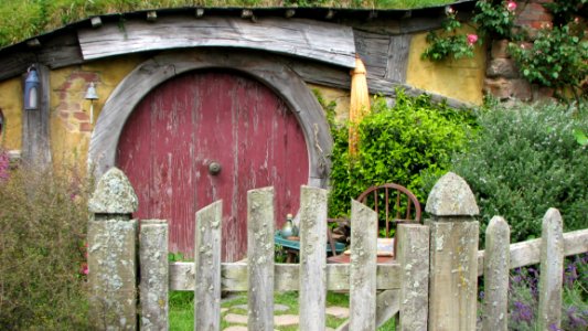 Arch Tree Gate Grass