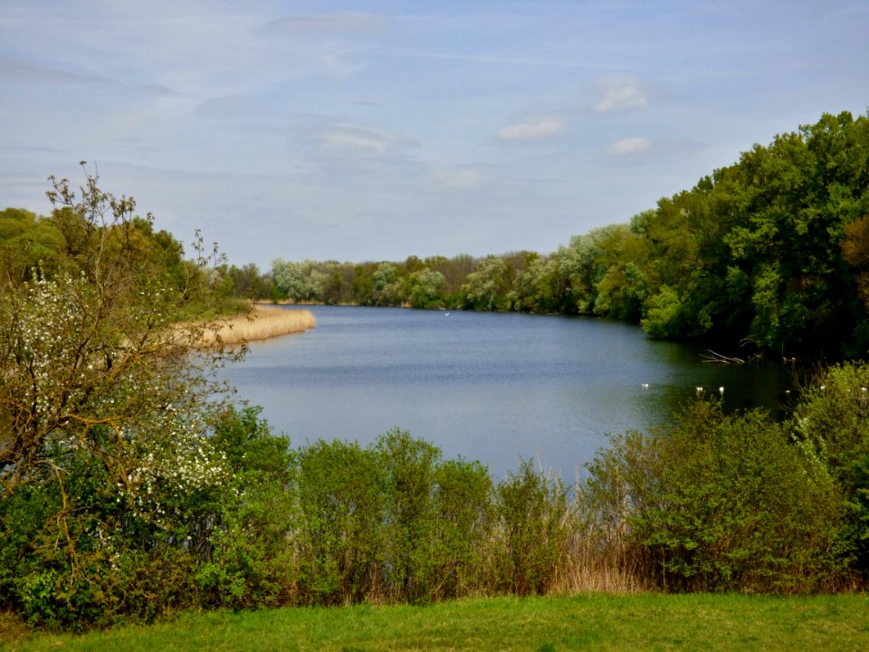 Nature Reserve Ecosystem Vegetation Reservoir