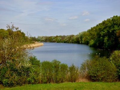 Nature Reserve Ecosystem Vegetation Reservoir