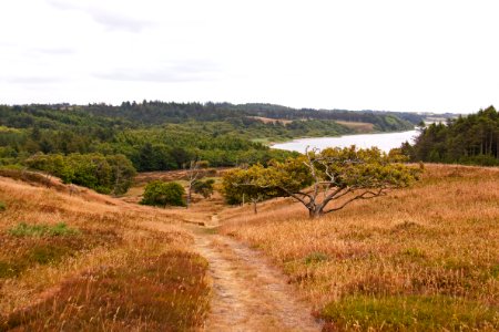 Nature Reserve Loch Path Reservoir