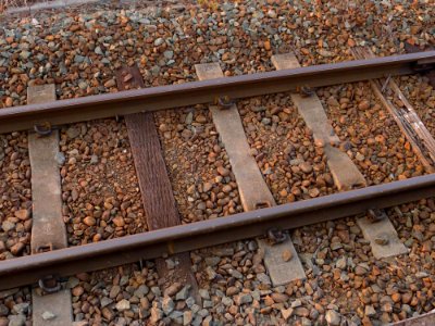 Track Wood Gravel Soil