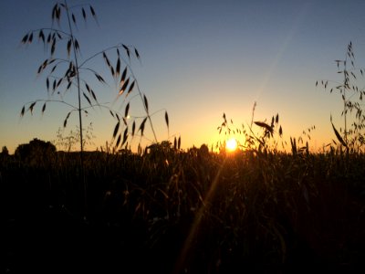 Sky Ecosystem Sun Sunrise