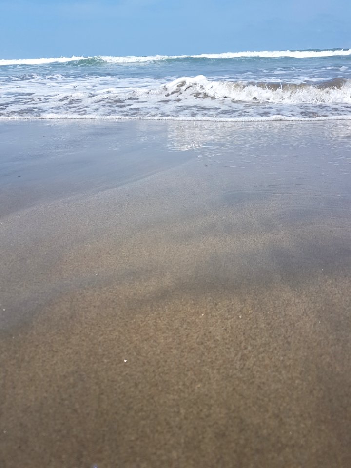 Sea Shore Coastal And Oceanic Landforms Beach