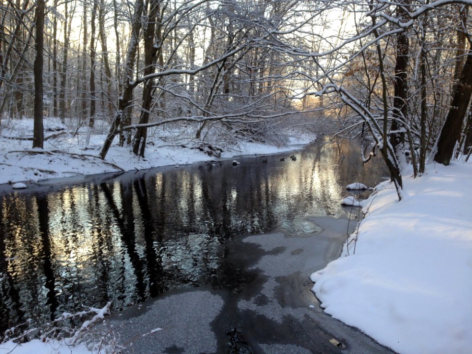 Snow Water Reflection Winter