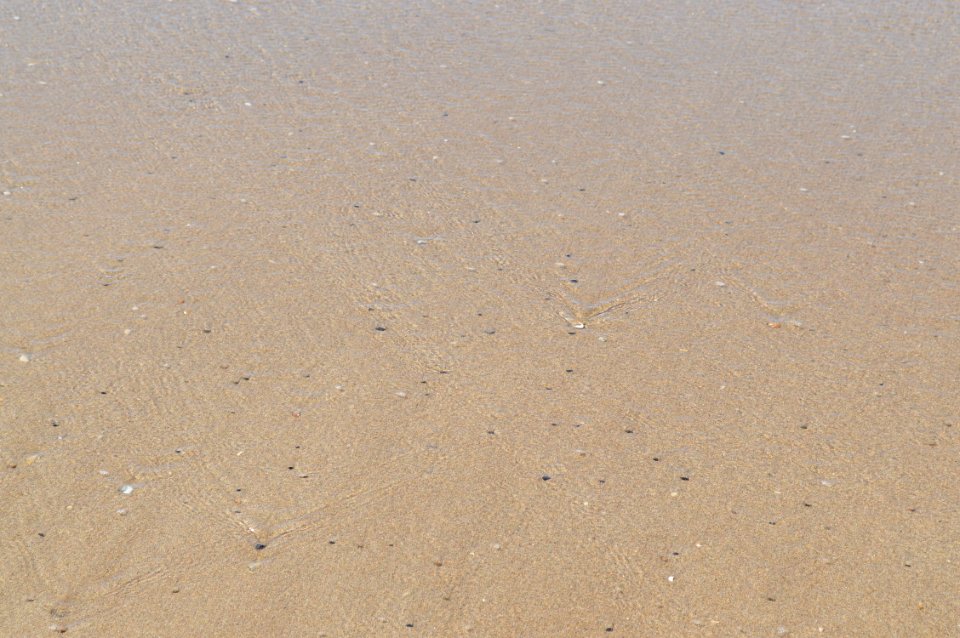 Sand Soil Ecoregion Sky