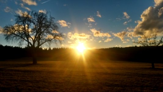 Sky Horizon Field Sun