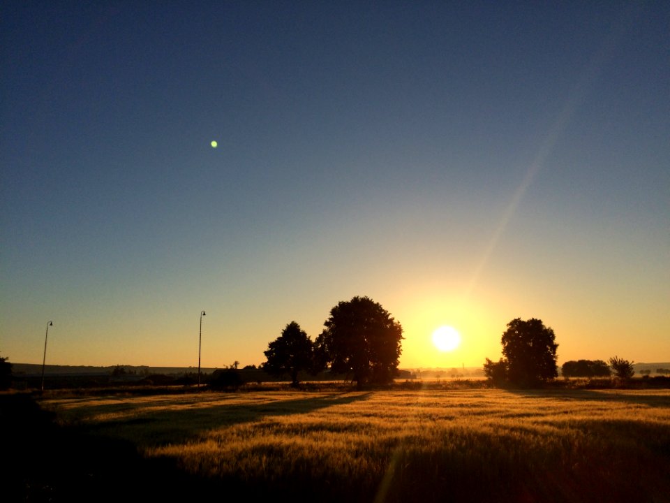 Sky Field Horizon Dawn