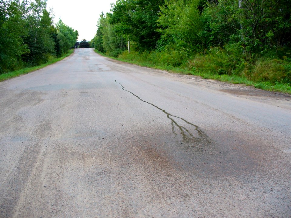 Road Asphalt Lane Path