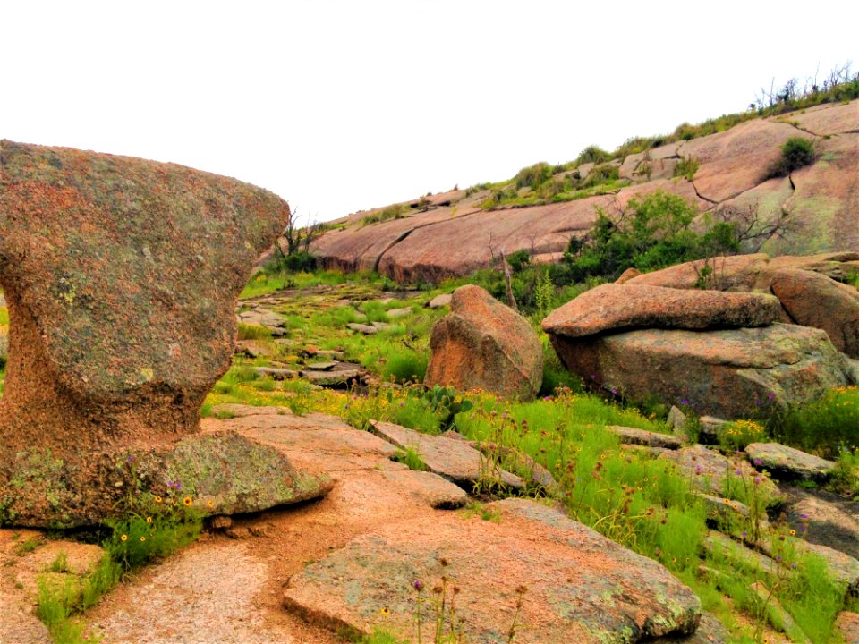 Rock Vegetation Nature Reserve Bedrock