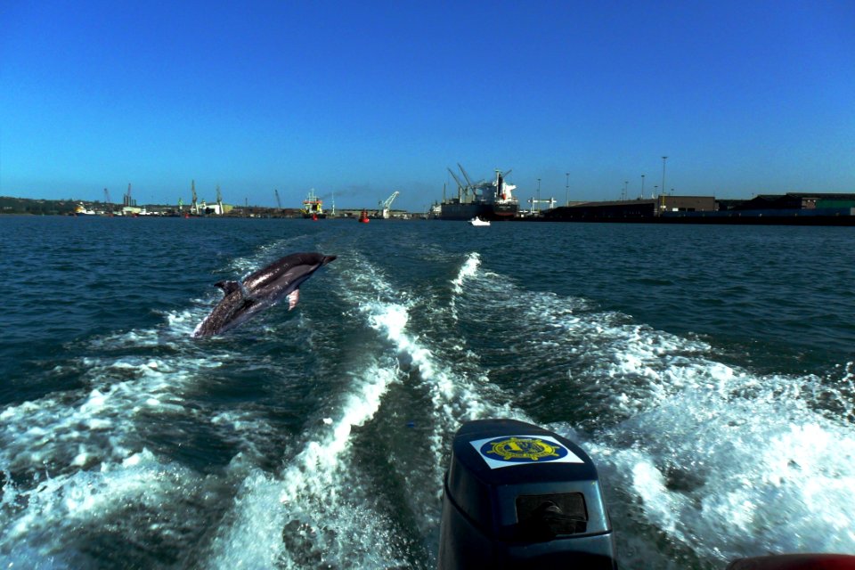 Water Sea Water Transportation Waterway