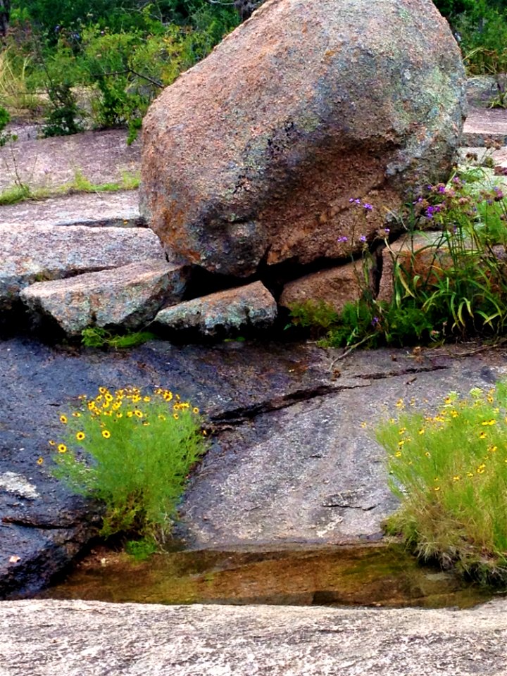Rock Boulder Vegetation Bedrock