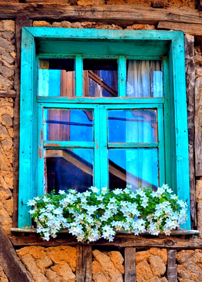 Blue Green Window Flower