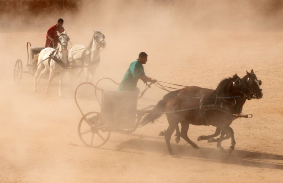 Horse Harness Chariot Mode Of Transport Rein