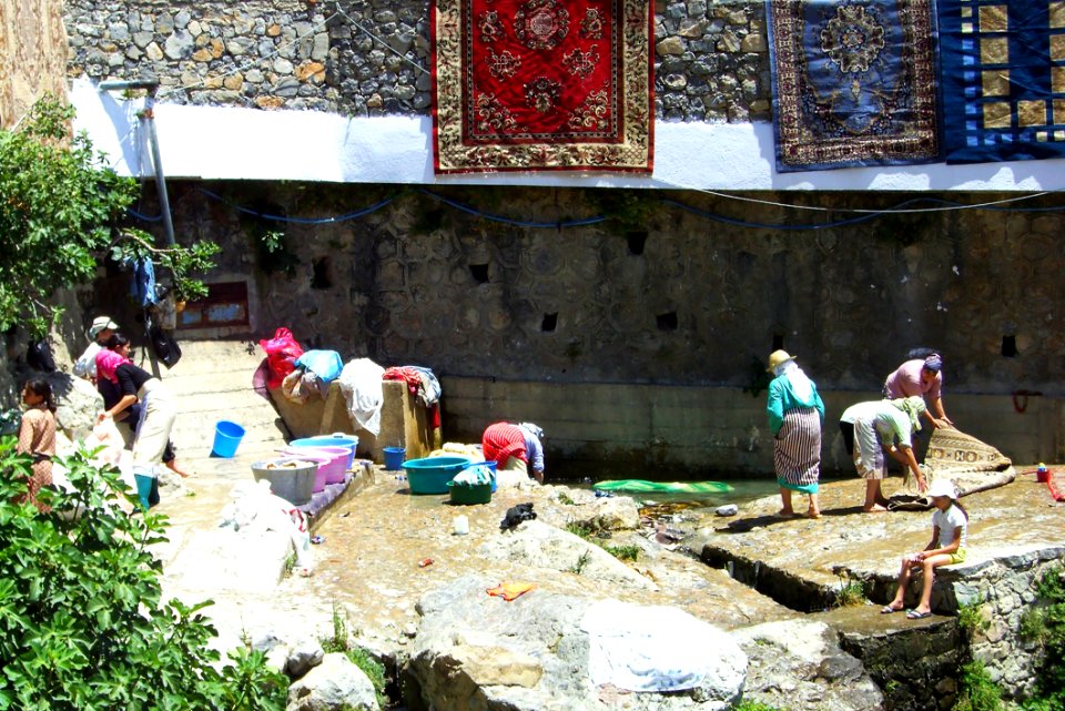 Plant Tourism Temple Recreation