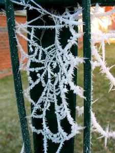 Spider Web Frost Freezing Winter photo