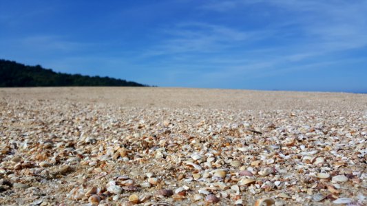 Ecosystem Sky Soil Ecoregion