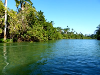 Water Vegetation River Water Resources photo