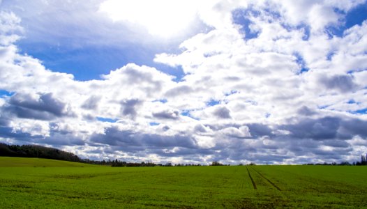 Sky Grassland Cloud Field photo