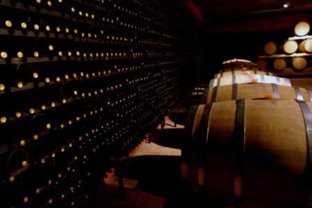 Winery Wine Cellar Lighting Musical Instrument Accessory