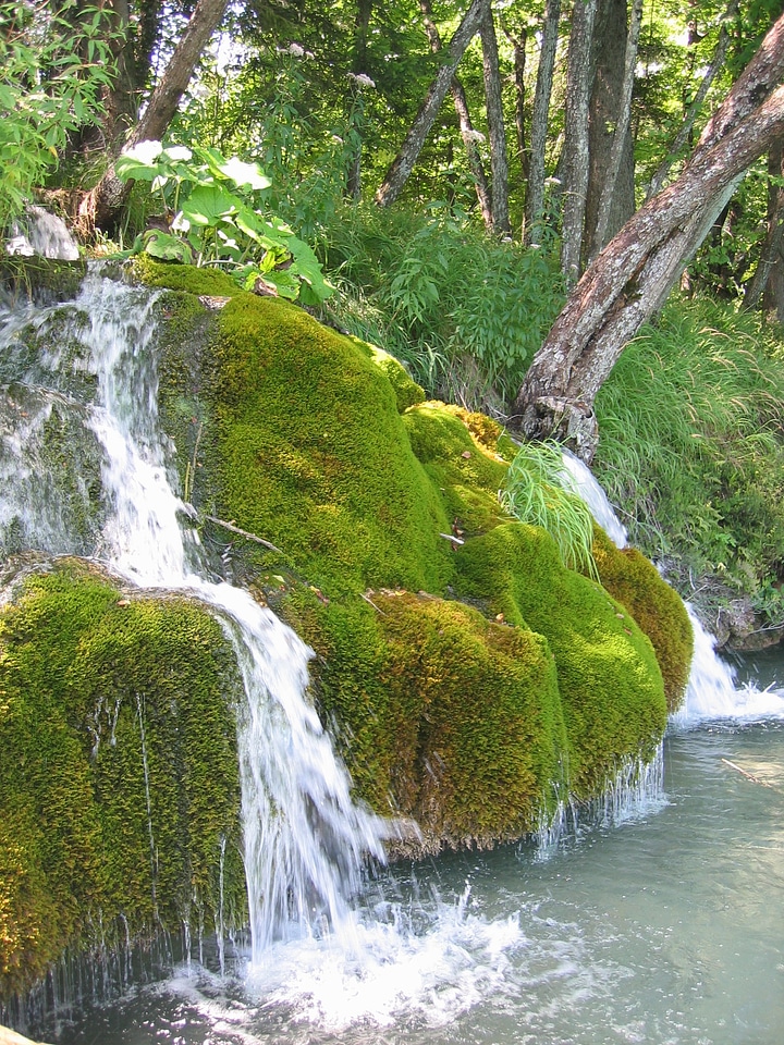 Moist water nature