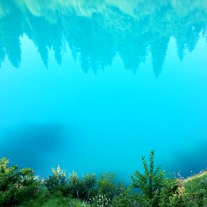 Ecosystem Vegetation Sky Water