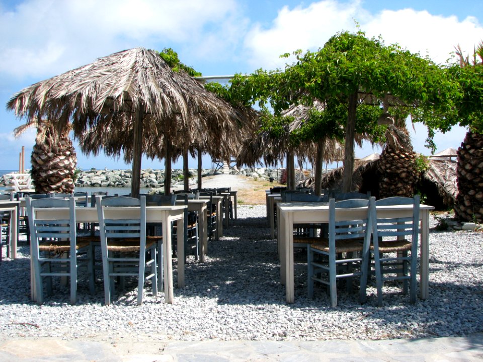 Resort Tree Arecales Real Estate