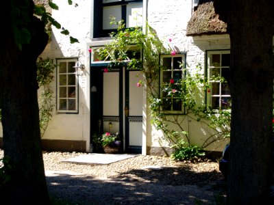 House Flower Property Cottage