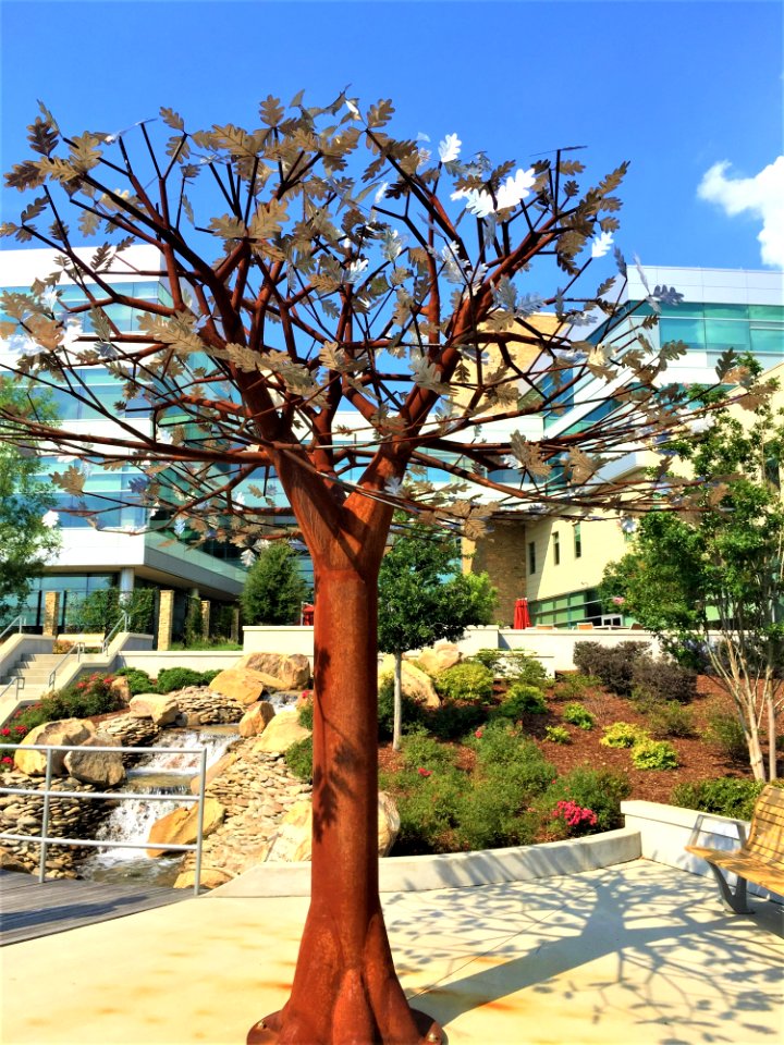 Tree Plant Woody Plant Branch