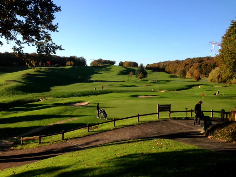 Golf Course Grassland Golf Club Structure