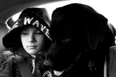 Black Photograph Black And White Dog photo