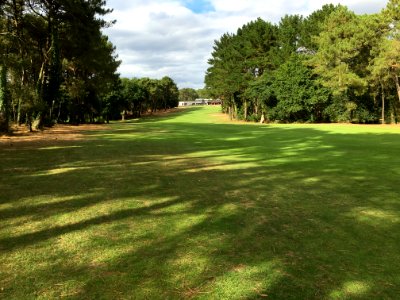 Lawn Grass Golf Course Grassland photo