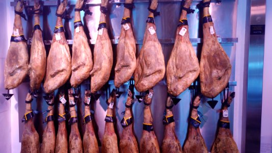 Meat Animal Source Foods