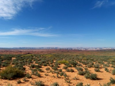 Sky Ecosystem Shrubland Vegetation photo