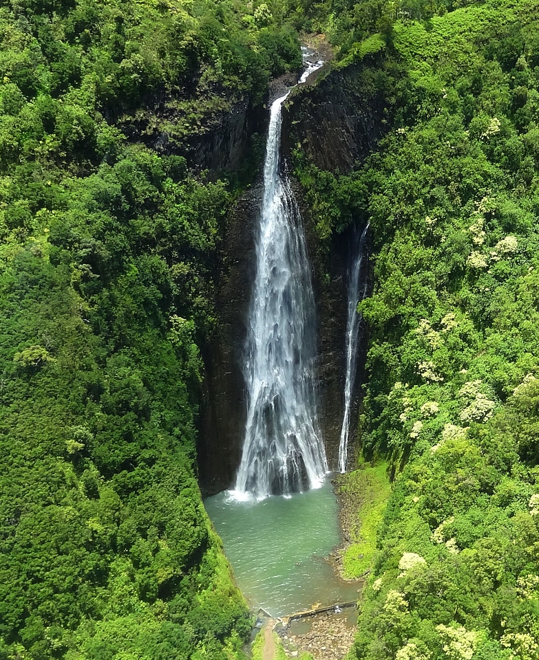 Cascade forest scenic