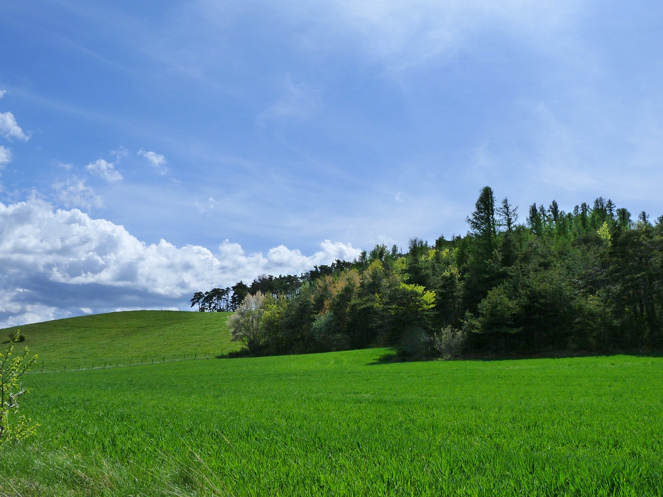 Spring relaxation prairie