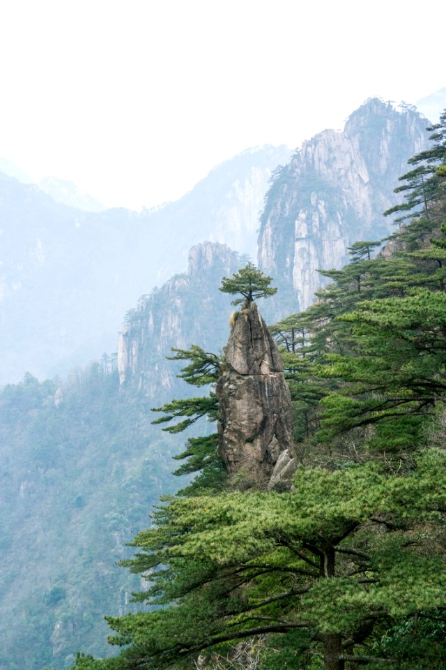 Vegetation Mountain Mountainous Landforms Tree photo