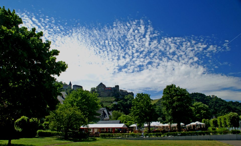 Sky Nature Cloud Tree