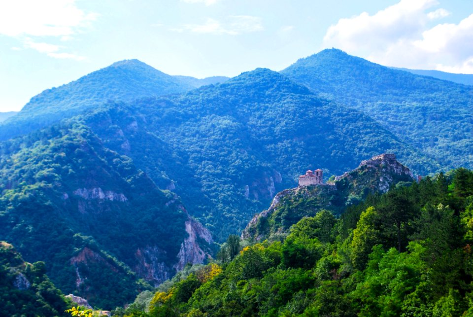 Vegetation Mountainous Landforms Mount Scenery Hill Station