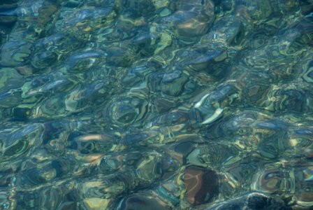 Water Green Underwater Marine Biology