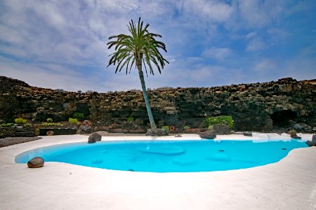 Swimming Pool Property Resort Palm Tree photo