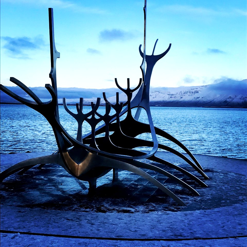 Water Sky Sea Tree