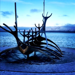 Water Sky Sea Tree