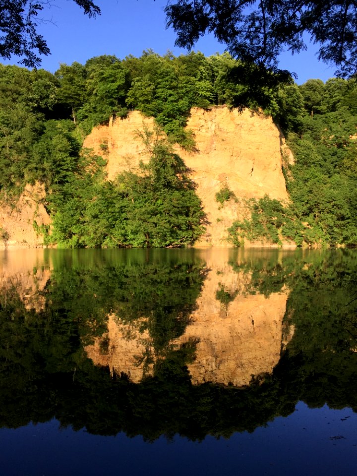 Reflection Nature Water Vegetation photo