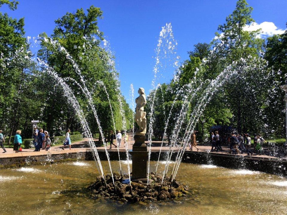 Water Plant Tree Fountain