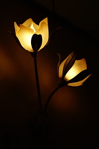 Lamps lighting dark