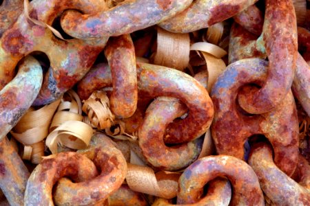 Rust Material Animal Source Foods