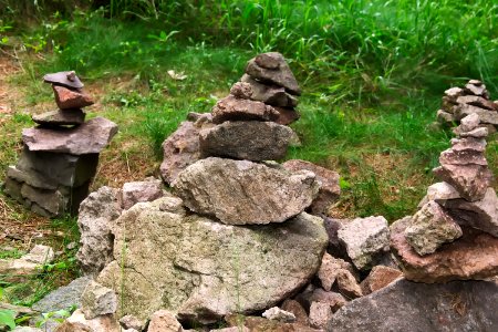 Rock Grass Plant Tree photo