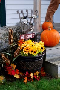 Pumpkin Produce Local Food Cucurbita photo