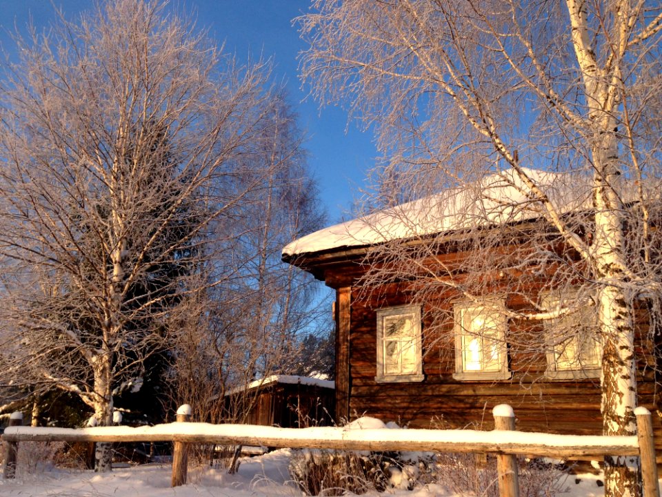 Snow Winter Home Tree
