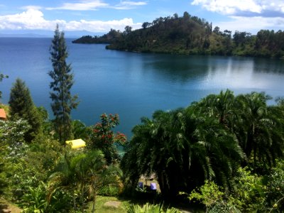 Vegetation Nature Reserve Lake Coast photo